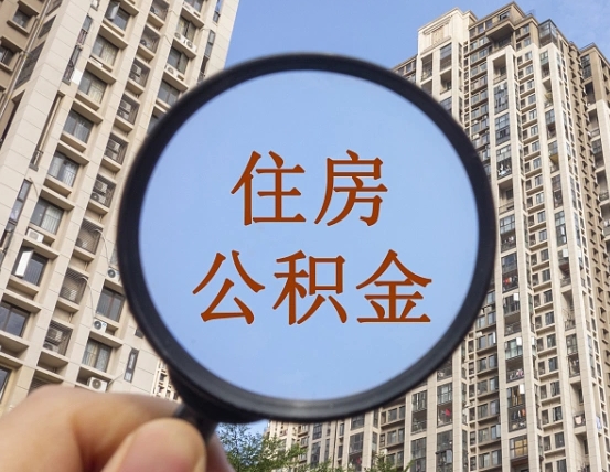武义县公积金离职证明（武义县公积金离职证明范本）